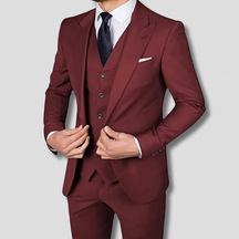 Löwe | Dreiteiliger eleganter Herrenanzug für besondere Anlässe